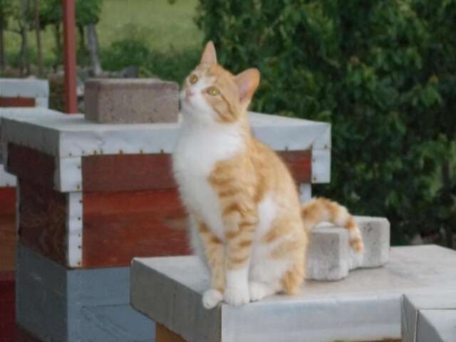 Гостевой дом Guesthouse Feel Lake Вирпазар-19