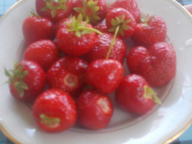 Гостевой дом Guesthouse Feel Lake Вирпазар-31